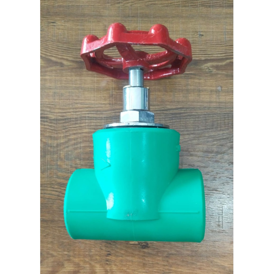 Gate Valve 40mm Minhas