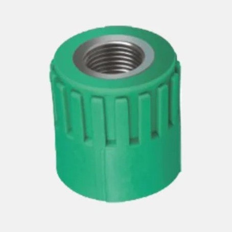 Socket 32 x 1 minhas